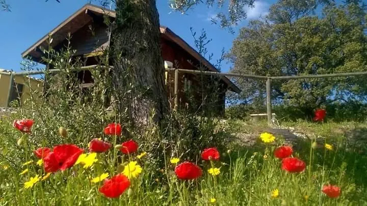 Casa La Colina Mandarina II Casa De Madera Villa Tahal Spain