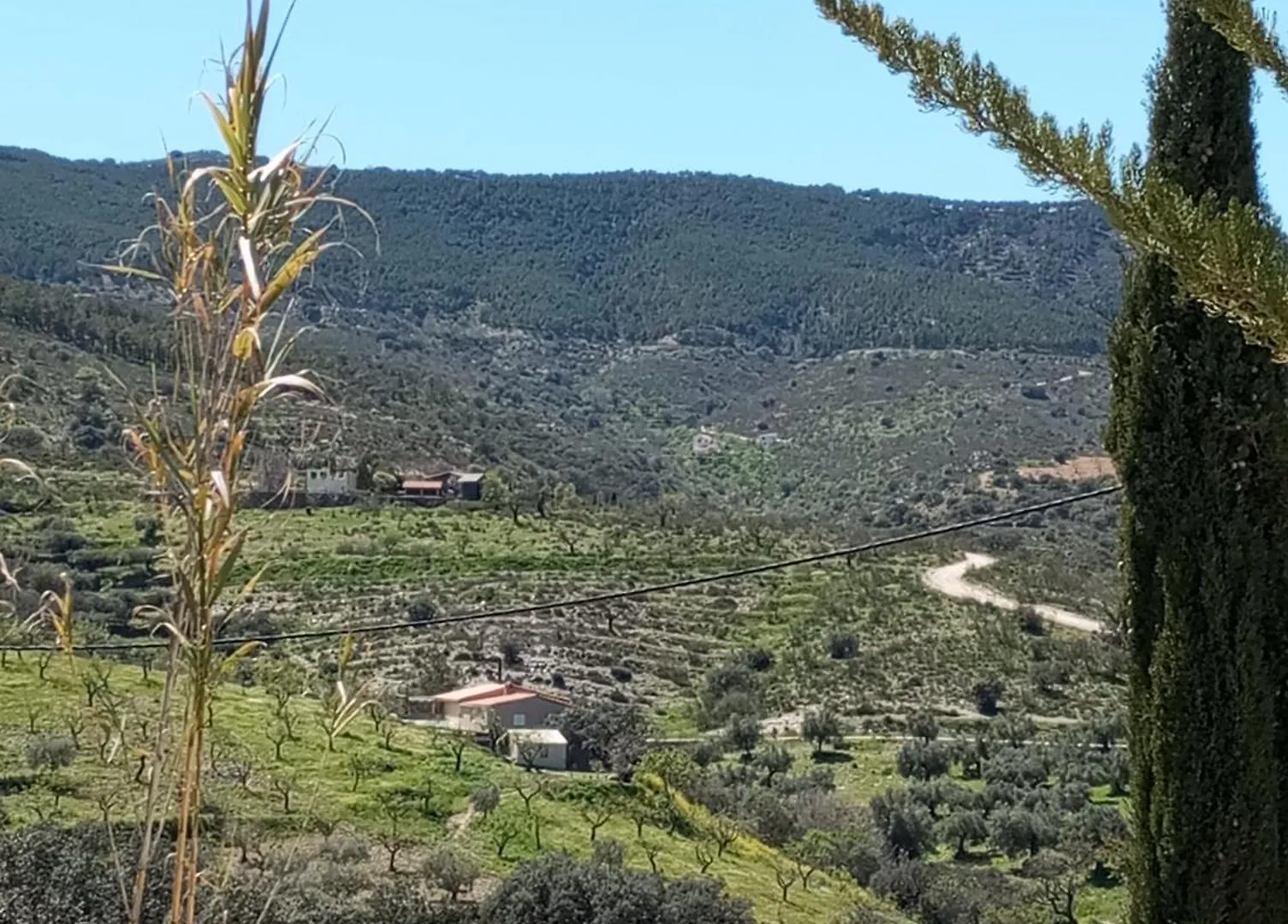 Holiday home Casa La Colina Mandarina II Casa De Madera Villa Tahal