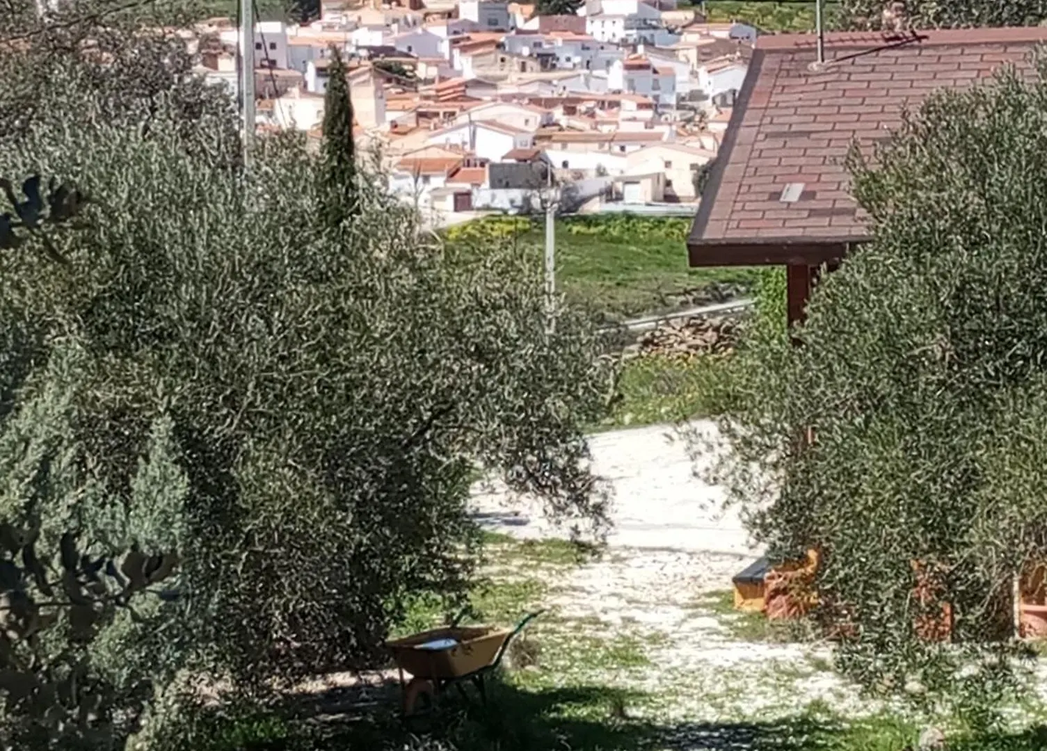 Casa La Colina Mandarina II Casa De Madera Villa Tahal